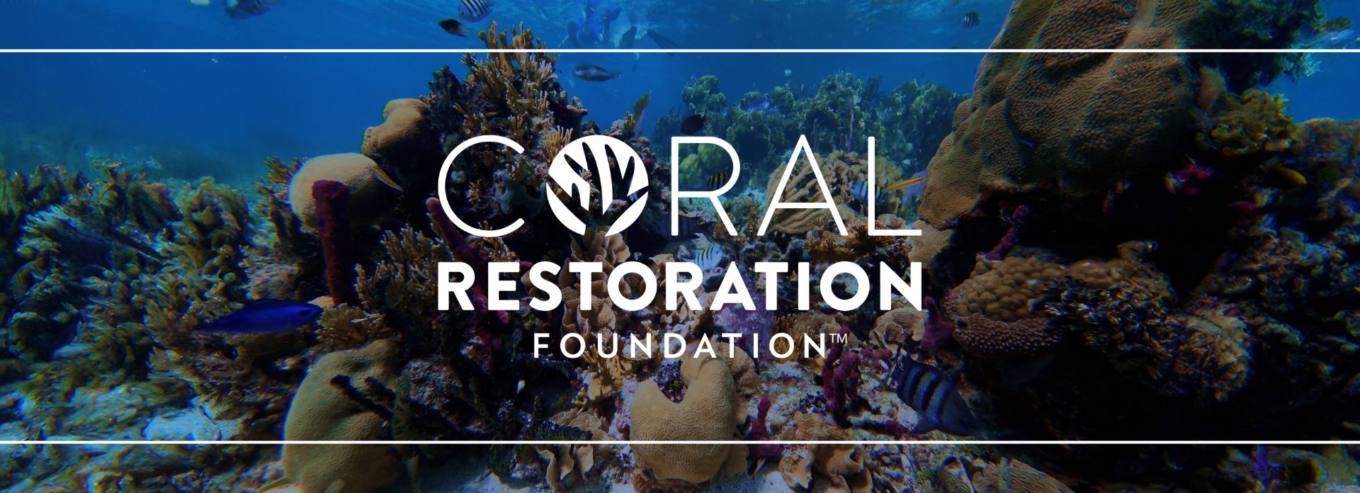 Coral Reef Foundation