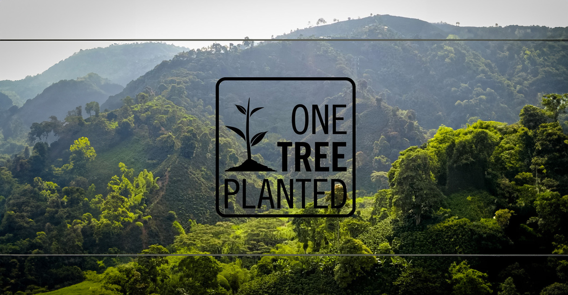 One Tree Planted Banner